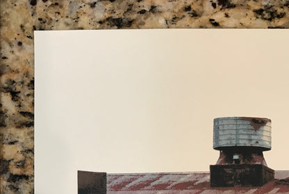 Phish Pine Knob Clarkston Michigan 2011 S/N 1st Edition Poster