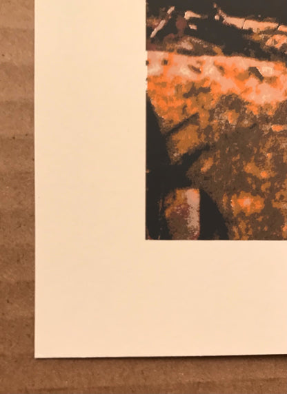 Phish Pine Knob Clarkston Michigan 2011 S/N 1st Edition Poster